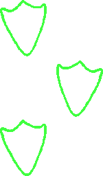 green outlines of three duck footprints, walking upward